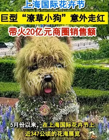 潦草小狗带火商圈